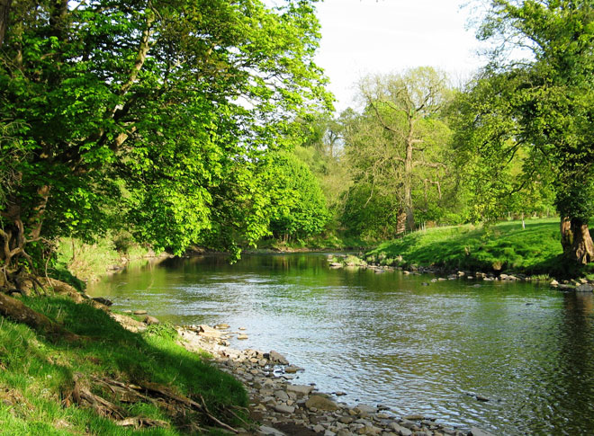 River Ribble - UK river flowing through England