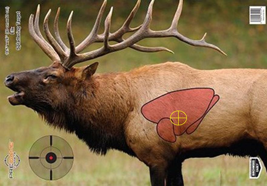 Shoulder Shot for Elk? Modern Muzzleloader Muzzleloading Forum