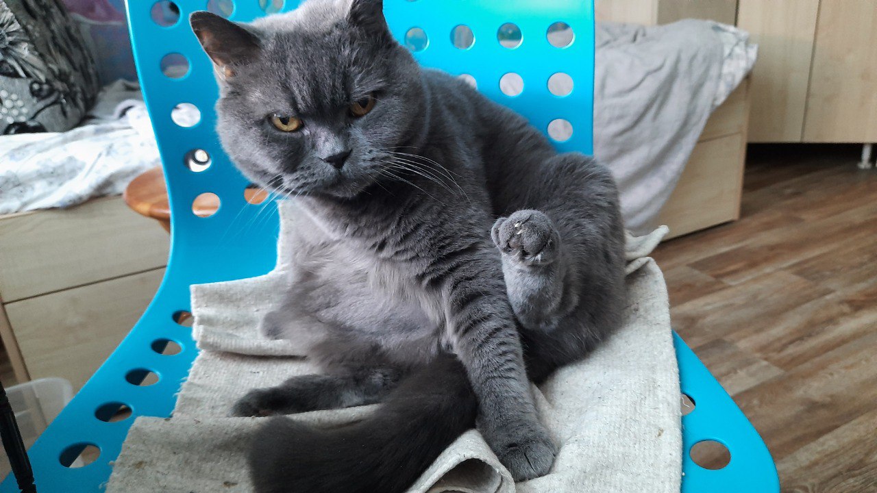 IMG_20210323_120046_489_optimized