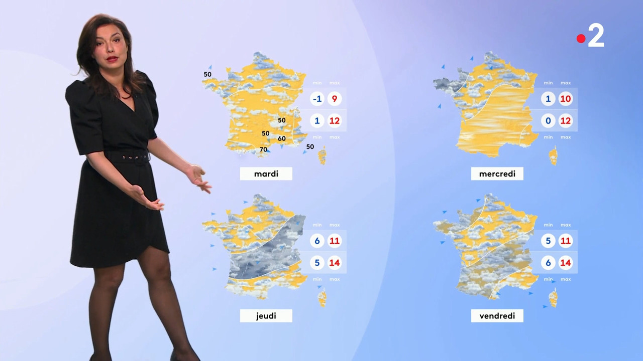 2021-03-06_12_50_Fr2_Meteo.mp4_snapshot_13.10.410