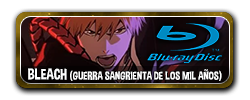 Bleach (2022) (Guerra Sangrienta de los Mil Años) [BDRip 1080p] (sub español)