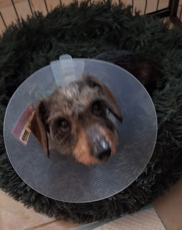 [Image: 20250224-125316.jpg]