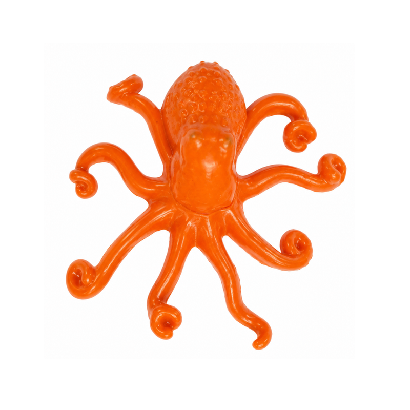 Octopuss Egg Orange