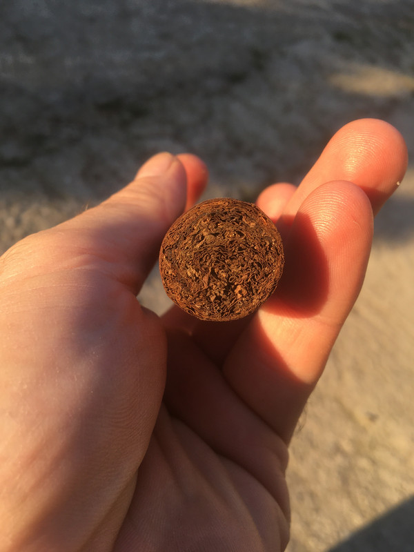 E946847B-4999-4A26-A558-C16E7B4711A5