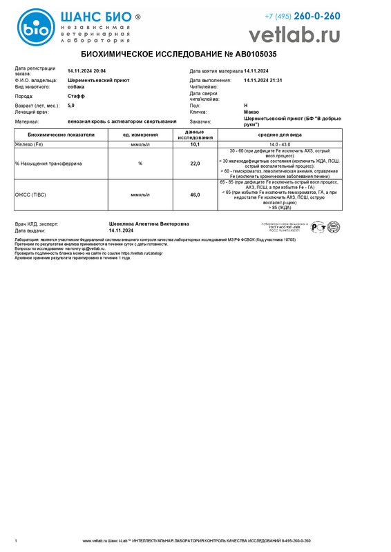 Биохимическоеисследование_Шерементьевский приют_AB0105035