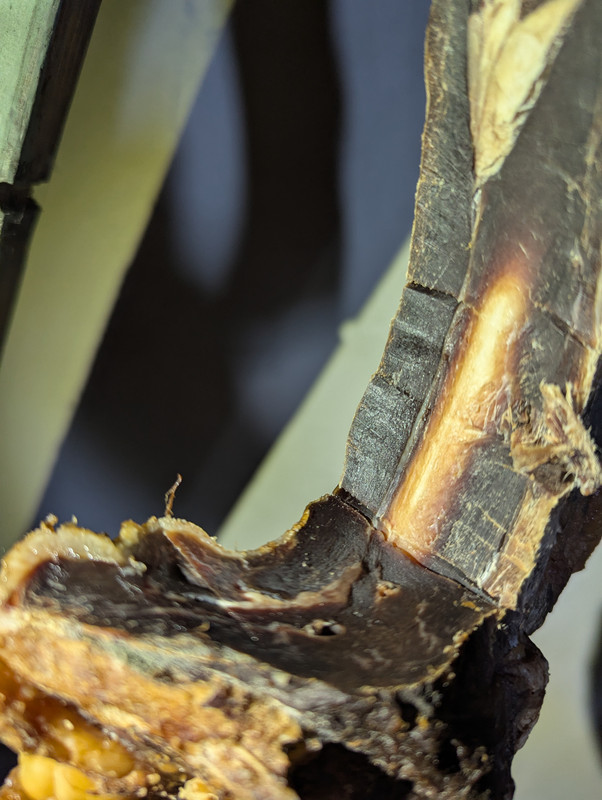 PXL_20250423_142859416