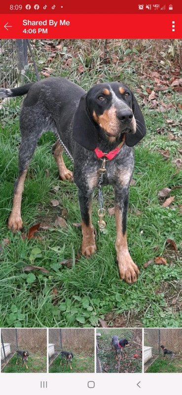 1DE9680A-F31D-4FBB-A0DE-B50F7521E081