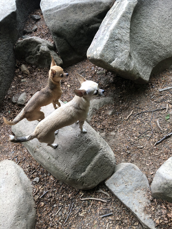 18597BAC-6E42-40E1-BA5D-90798B74C156