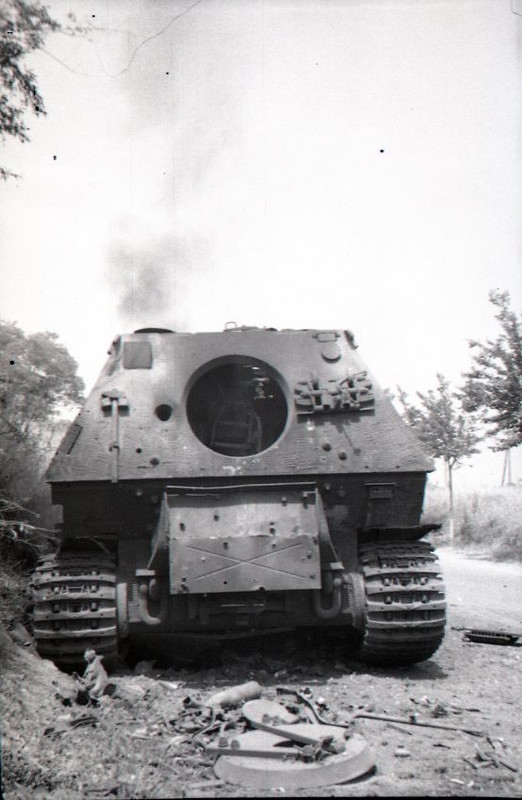 photos of ELEFANTS knocked out in the field (3)