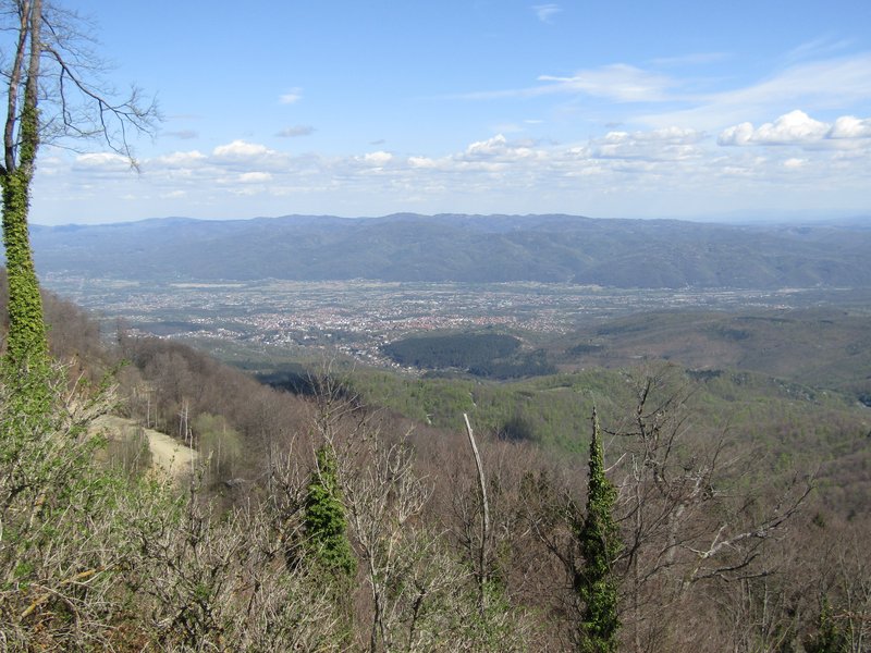 Slika