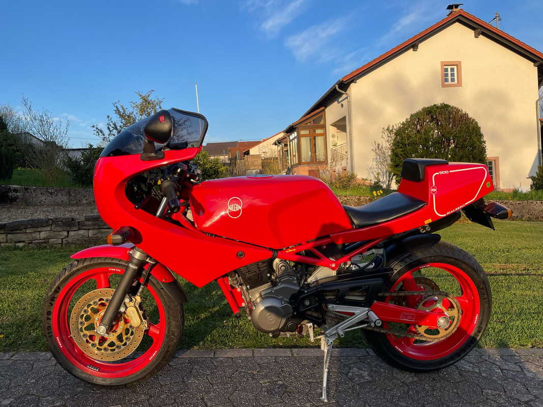 WhatsApp Image 2025-03-08 à 08.15.38_9728d7e2