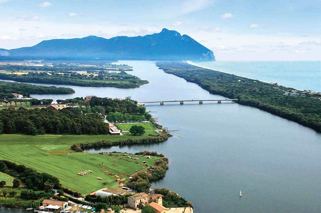 External inline image provided by member with no explanatory text