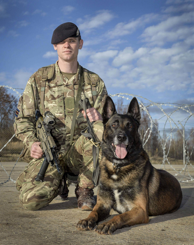 Brit 102nd Military Working Dog Section2