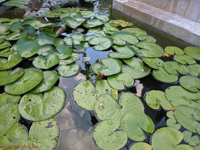 [Image: IMG-20190616-201054.jpg]