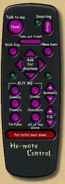 Boyfriend Remote