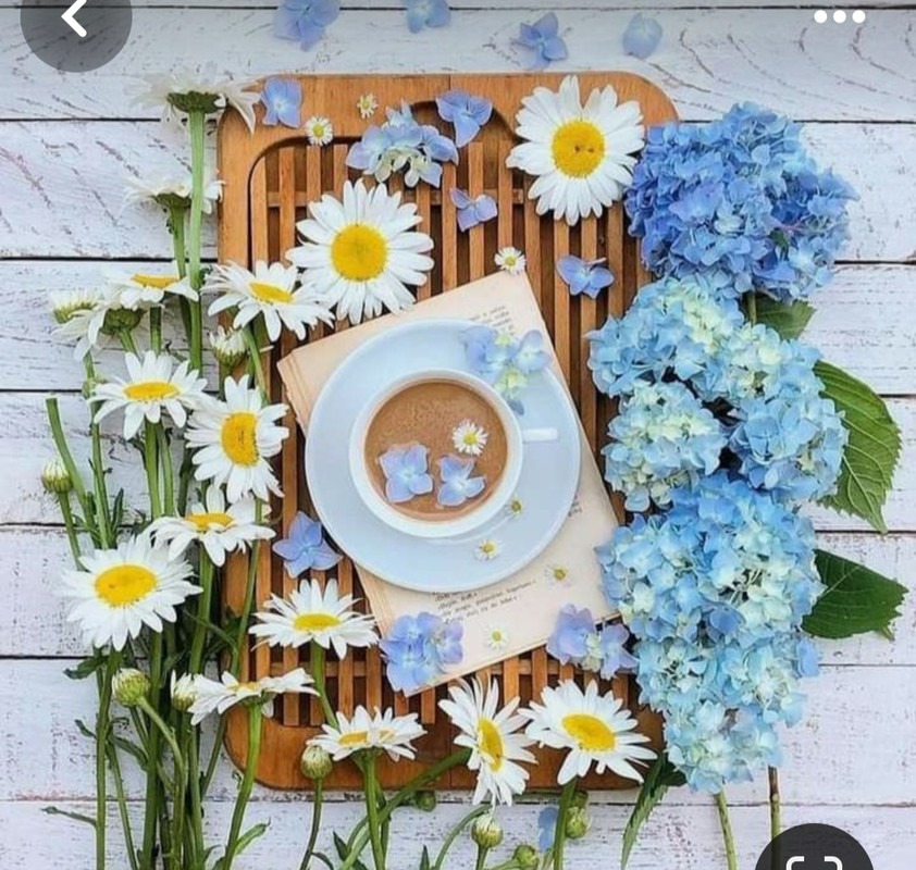 Screenshot_20240424_225642_Pinterest