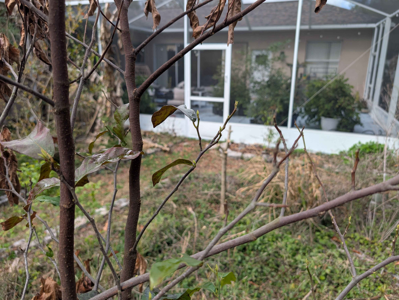 PXL 20260305 190355516