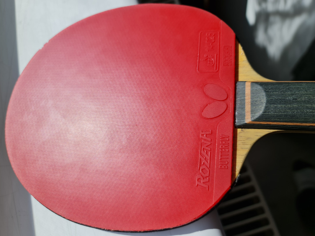 4. BTY AI FUKUHARA ZLF (4)