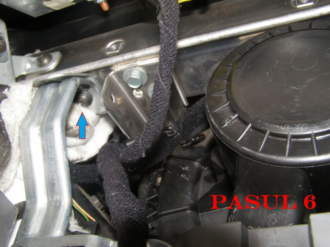 image (5)