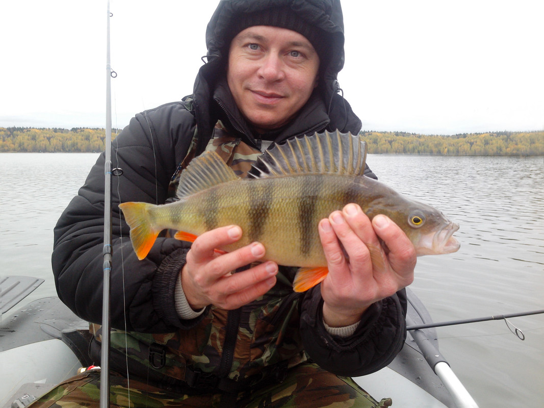 Дима Мальков, джиг спиннинг катушка судак щука окунь приманка мастер-класс Куляпин Андрей