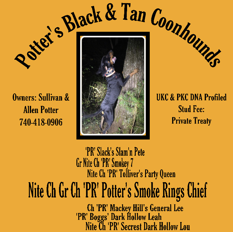 EDE905F3-D7C3-46D4-A0B8-ED5B5513BF61