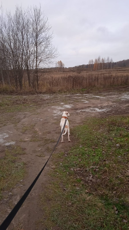 E31C2863-0789-44AE-8A58-4E3BB0BD8C18