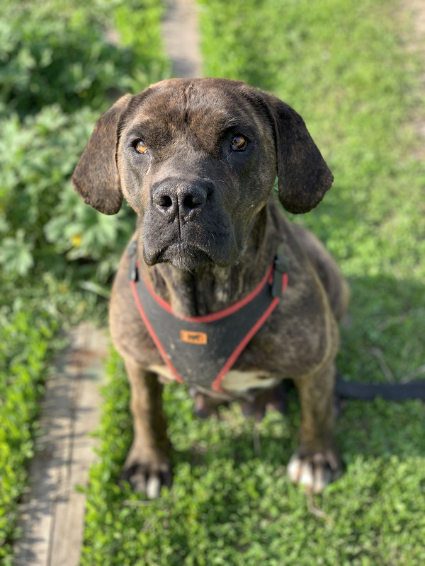 621AF821-0A73-49B4-9BC7-ACC1EEBA617E