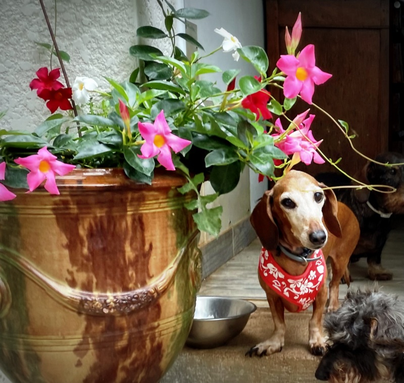 [Image: IMG-0603.jpg]