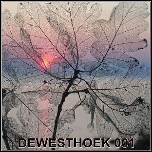 1(101)