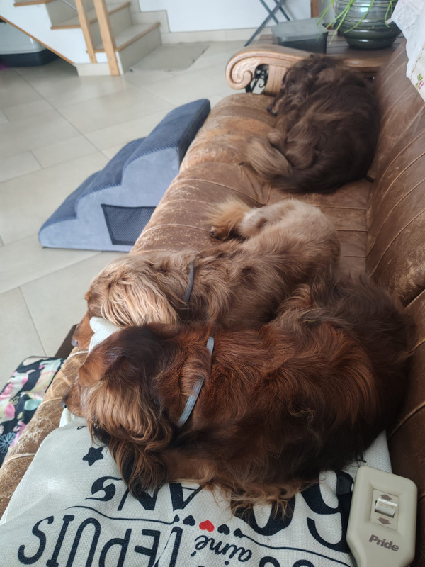 [Image: IMG-20250818-151738.jpg]