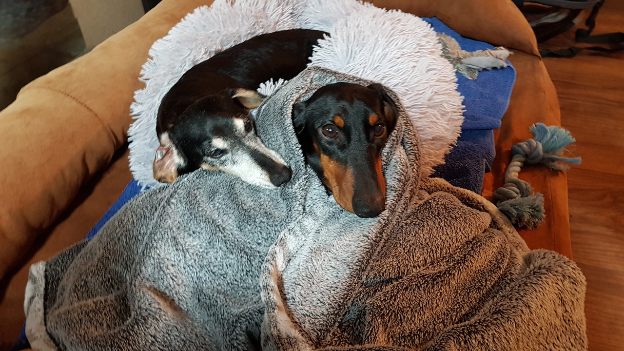 [Image: 20200928-202229.jpg]