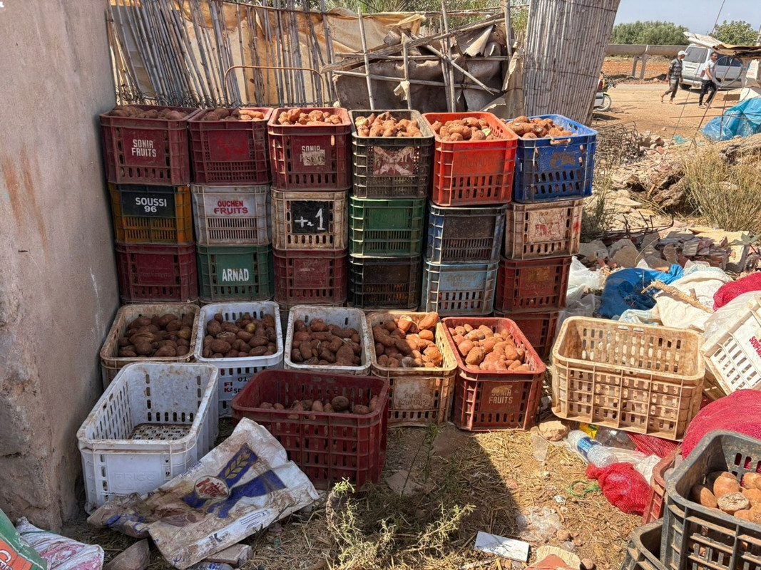 wmremove-transformed-3