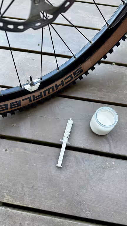 https://i.postimg.cc/rp82kkZX/IMG-9114.avif