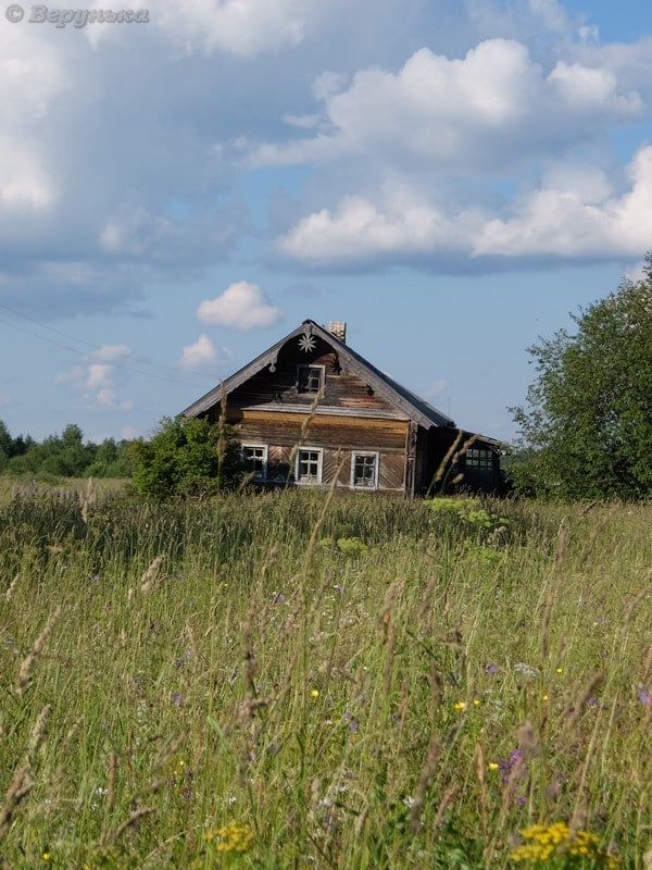 DSCF9481