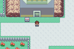 pokefirered 4