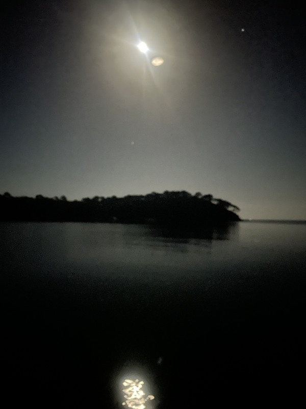 B8BF258F-E711-42C1-8D30-AD33611733E4