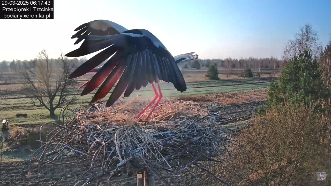 29032025porannezamieszanie_30