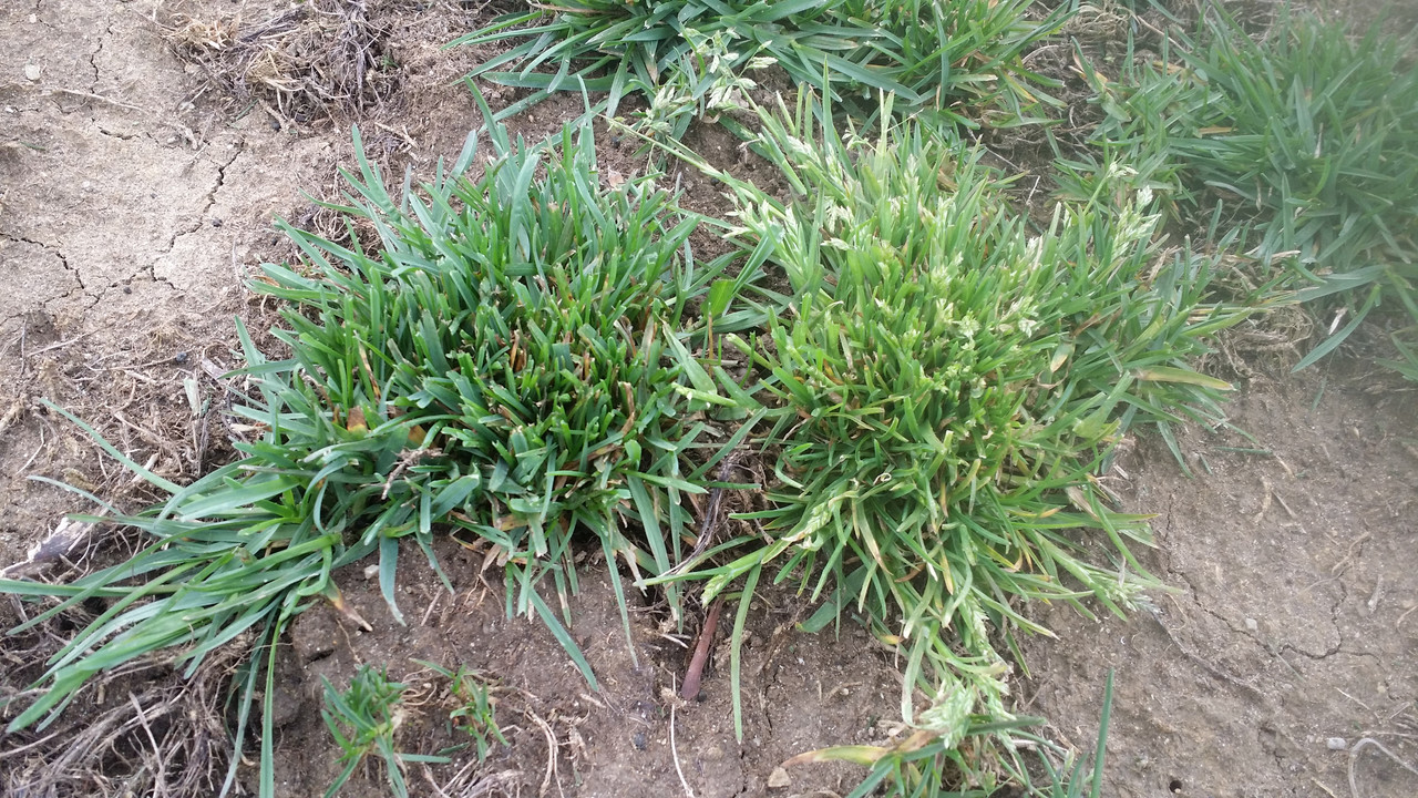 March 30, 2017 at 1214PM (1)