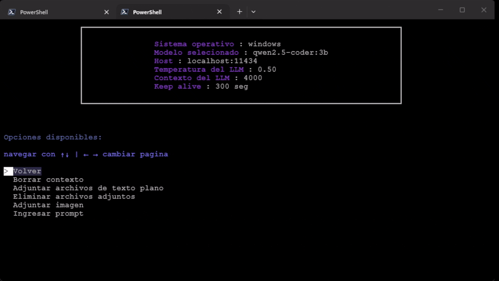 llm2.gif