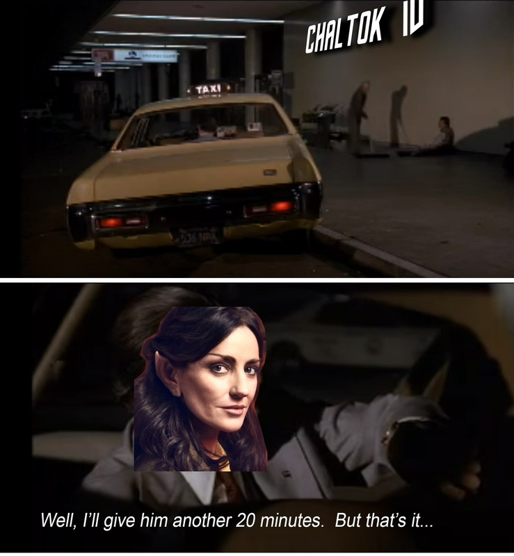 343565113-116817491368871-1178341614828518111-n.jpg