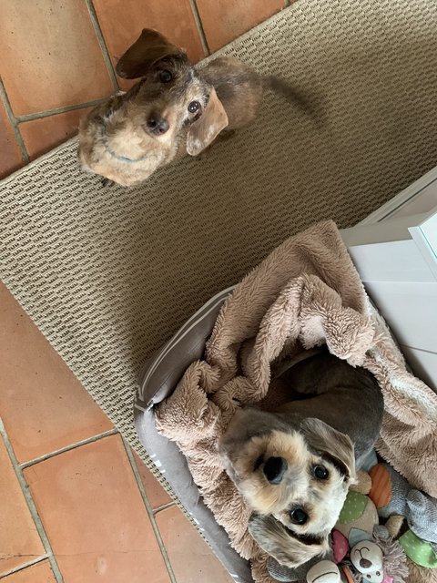 [Image: 471838-BE-9-C0-D-48-C0-89-CE-5-B98-FAE1-EAF1.jpg]