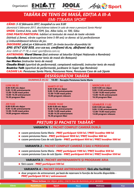 (ptOnLine)desfasurator&DETALIItabaraTDM2017