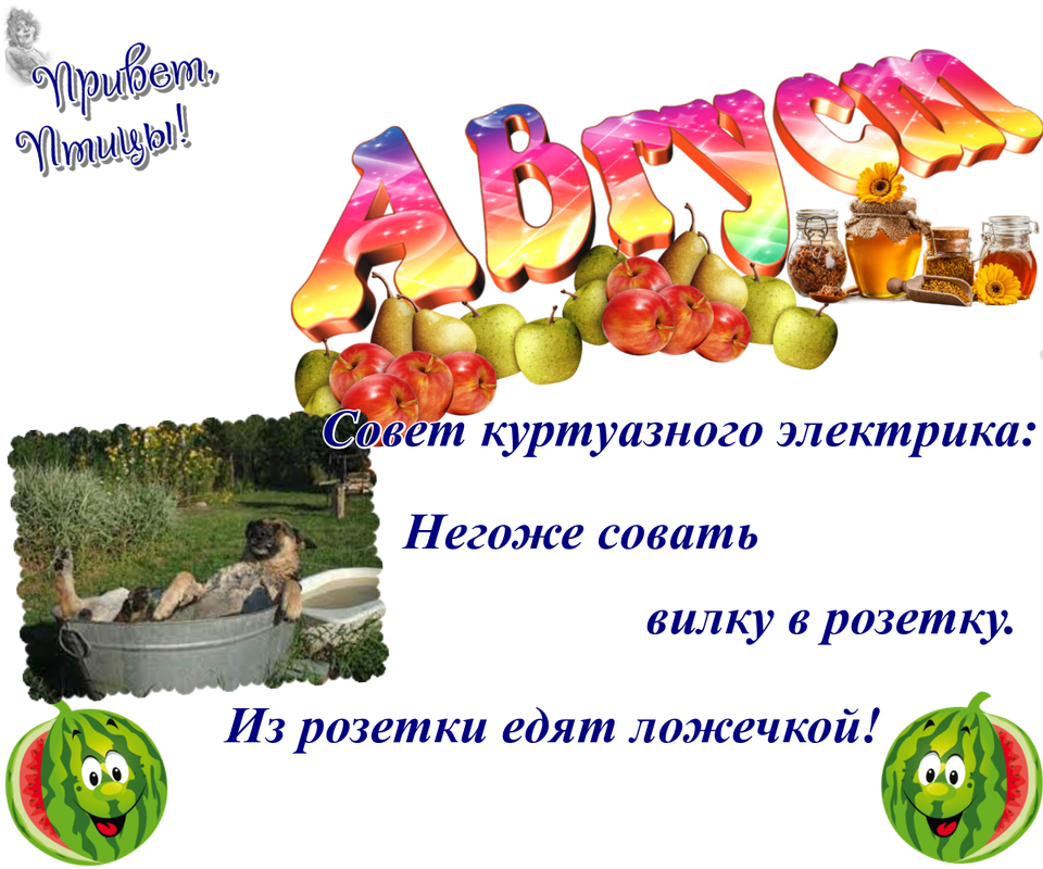 https://i.postimg.cc/rp8vxxzr/19-08.png
