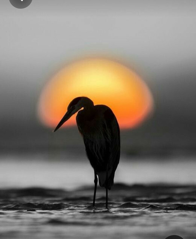 Screenshot_20230427_002059_Pinterest