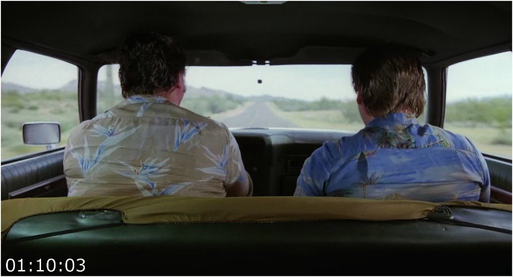 Raising-Arizona-1987-FHDMastered-Hevc1080p-Blu-Ray-English-CZ-PHDTeam.jpg