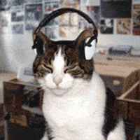 cat-headphones.gif