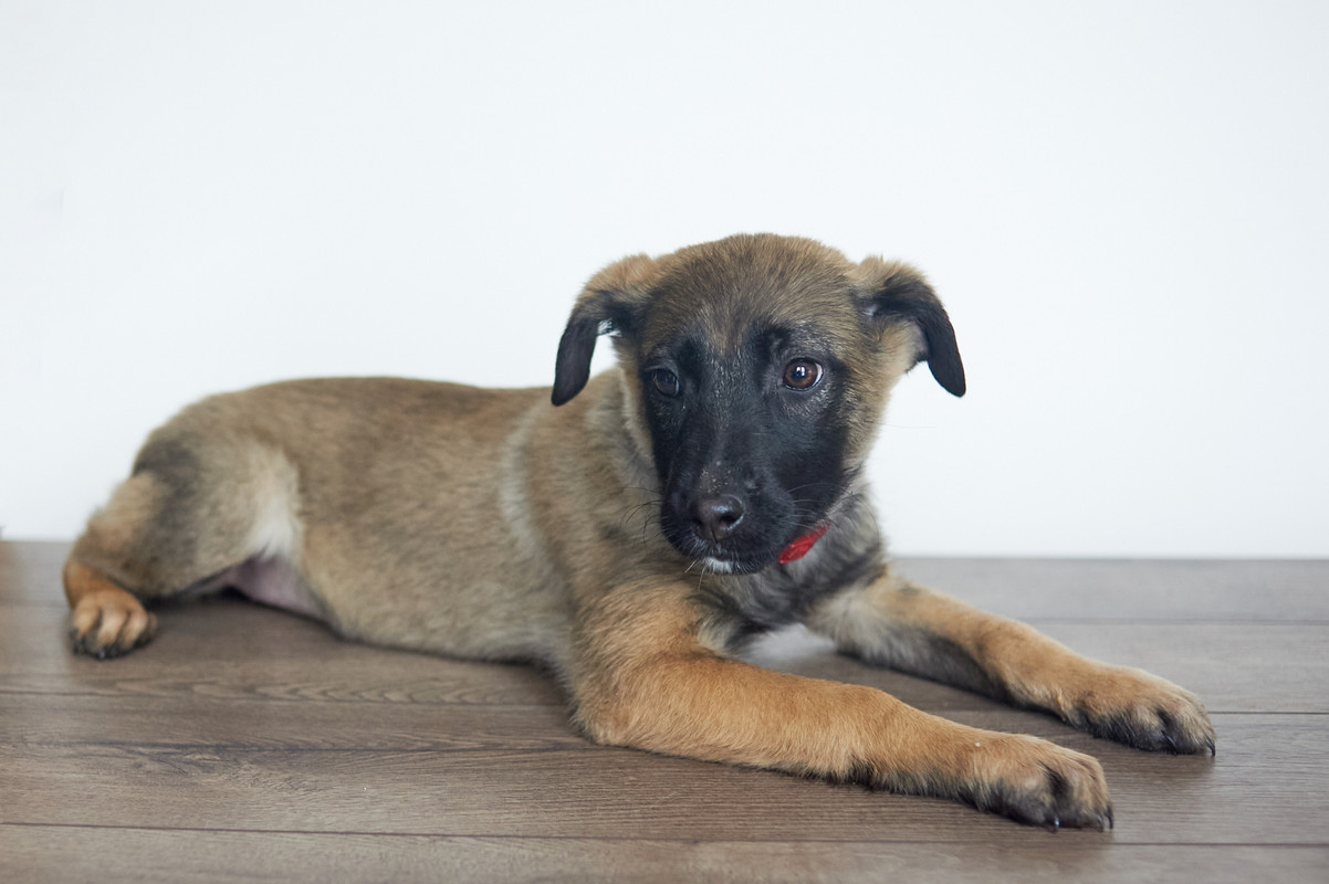 DSC_5125 - копия