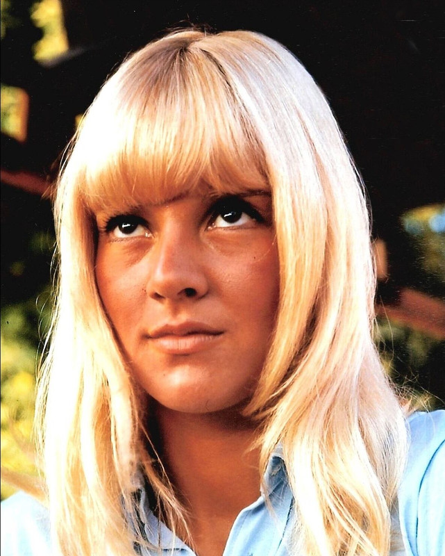 Sylvie Vartan b24