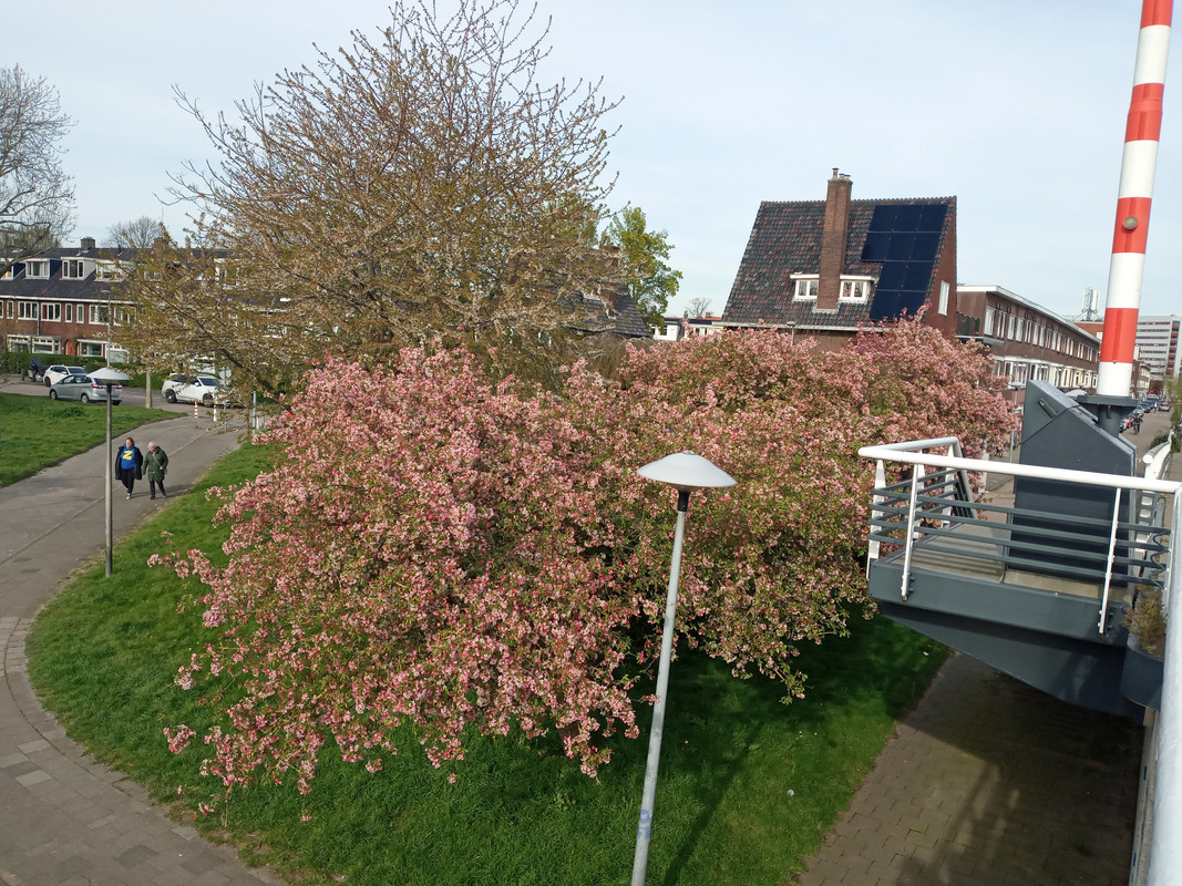 [Image: 20220411-172425.jpg]