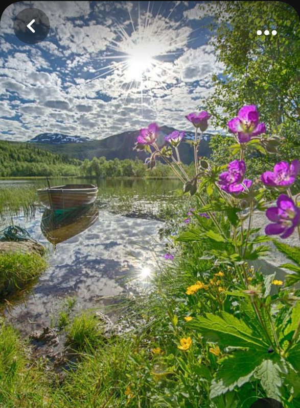 Screenshot_20231104_214915_Pinterest